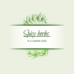 Spicy herbs in a realistic style, frame on background