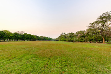 Park in city at sunset
