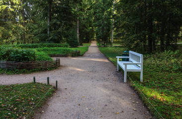 Alley in old park