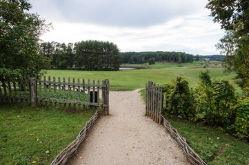 Country landscape with meadow and forest