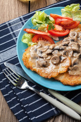 Crispy fried homemade potato pancakes with mushroom sauce.