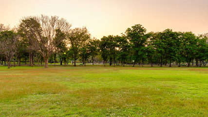 Park in city at sunset