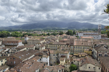 Fototapeta na wymiar City of Lucca seen from the Torre Guinigi