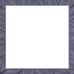 Square frame of metal texture leaves with a white background