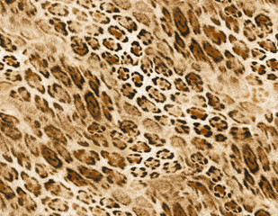 Leopard pattern