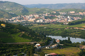Fototapeta na wymiar Top view of Douro river and Peso da Regua city, northern Portugal.