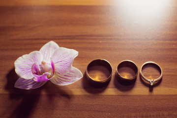 background with blossom and wedding rings