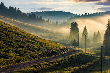 country road through foggy forest in mountains