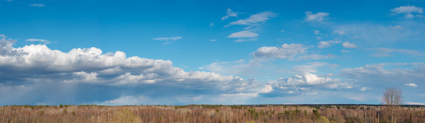 Fototapeta premium Panorama image of blue sky with white clouds over the forest. Vologda region, Russia