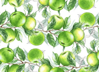 Hand-drawn watercolor seamless pattern with green apples branches on the white background. Repeated fruit background.