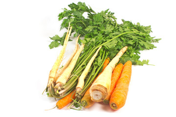 Parsley and carrot isolated on white background
