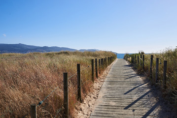 Fototapeta na wymiar Pasarela de madera en un paisaje natural de la costa