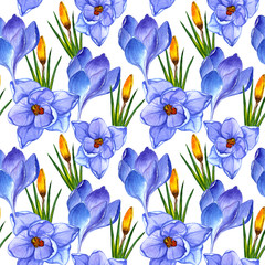 Wildflower crocuses flower pattern in a watercolor style isolated.
