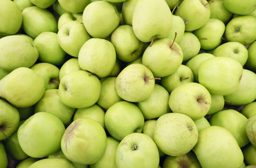 Closeup of many green juicy apple fruits in market