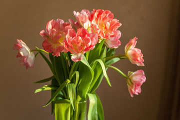 variety of pink tulips, bouquet of tulips