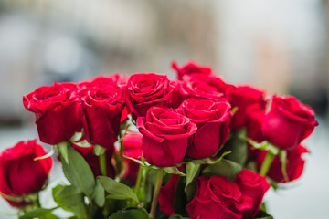 Rosas para San Valentín-Flor de Lola-Conde duque- Madrid