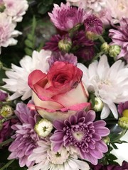 A pink rose stand out among  variety flowers.