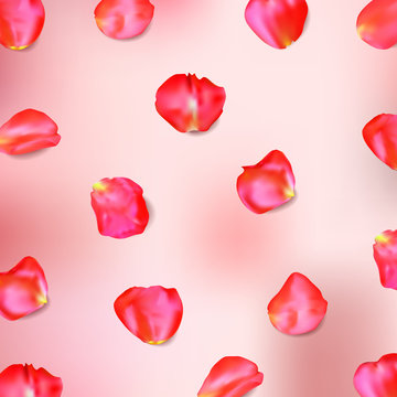 Red rose petals. Realistic vector
