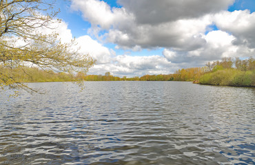 am Grossen Dewitt-See im Schwalm-Nette Naturpark nahe Nettetal,Niederrhein,Rheinland,Deutschland