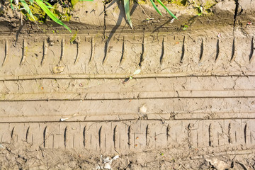 Close up muddy tire track on the ground