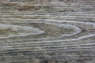 High resolution wooden texture