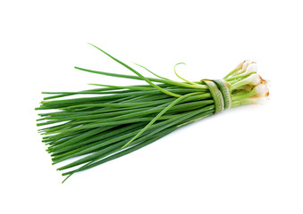 green spring onion isolated on white background