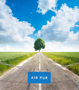 campagne route arbre chemin air pur qualité respirer environnement pollution perspective goudron champ blé horizon nature ciel bleu