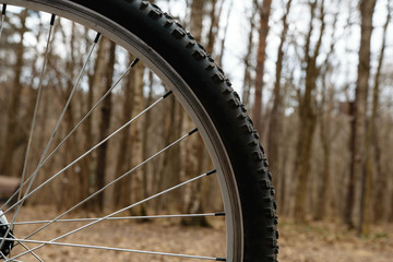 Bicycle wheel in park