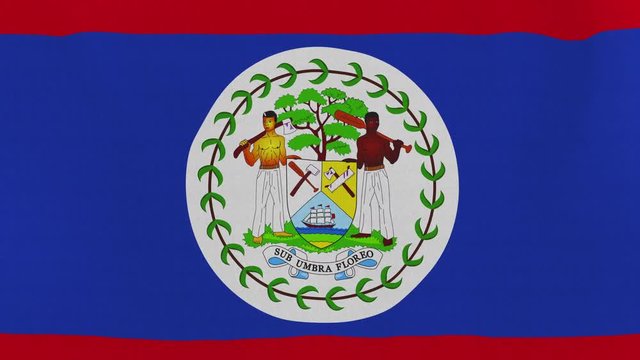 Loopable: Flag of Belize...Belizean official flag gently waving in the wind. Highly detailed fabric texture for 4K resolution. 15 seconds loop.
