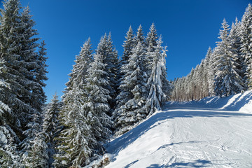 Winter landscape in mountains skiing resort of Bukovel
