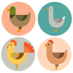 Farm icon vector illustration nature food harvesting grain agriculture different animals characters.