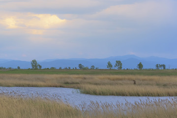 Summer landscape in Khakasia.