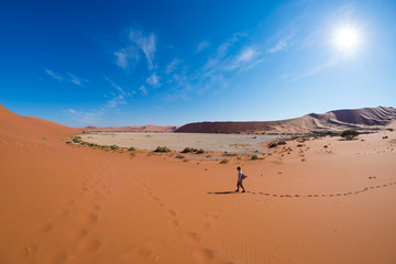 Tourist walking on the scenic dunes of Sossusvlei, Namib desert, Namib Naukluft National Park, Namibia. Adventure and exploration in Africa.