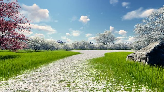 Patika Yol
