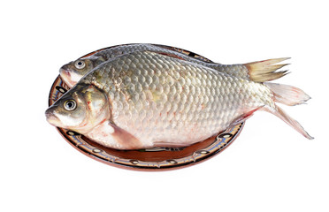 Two carassius - crucian carp on a  plate,white background