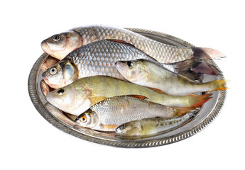 Fresh fish (Scardinius erythrophthalmus,carassius) on a  plate,on an isolated white background.