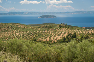 Olive country and island, landskape;
