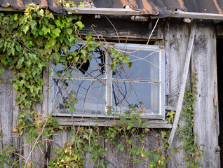 Alte Hütte in Sussex