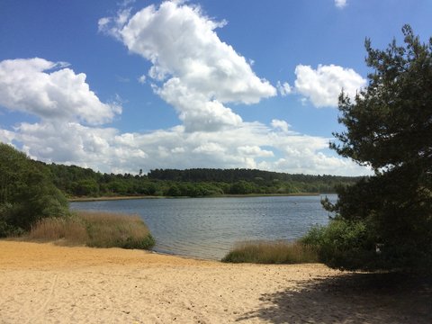 Frensham Great Pond