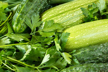 Fresh, organic green vegetables background
