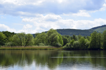 Obraz premium Green oasis