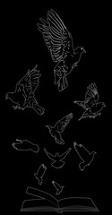 nine doves flying above open book on black