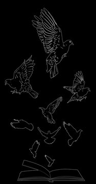 nine doves flying above open book on black