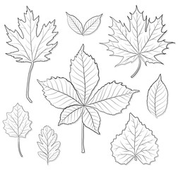 leaves silhouette vector set for coloring book
