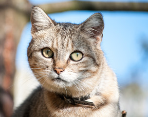 Are you looking for me?