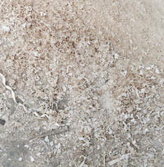 detail of wooden shaving