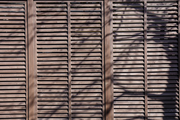 Wooden fence with shady trees