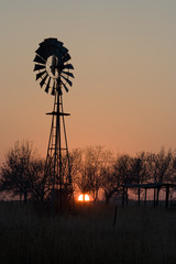 windpumps in the Eastern Free State in South Africa