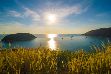 Sunset on tropical beach with yellow grass