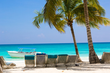 Sun beds for relaxing under coconut palms on a white bezke on a background of azure sea.